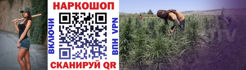 Где найти наркотики Белый Каннабис Меф мяу мяу МЕГА А ПВП ГАШИШ Cocaine