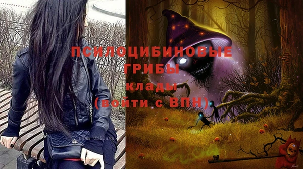 экстази Бородино