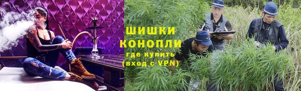 экстази Бородино