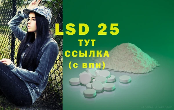 экстази Бородино