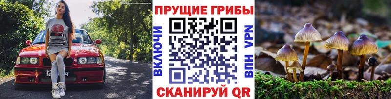 Галлюциногенные грибы прущие грибы  Белый 