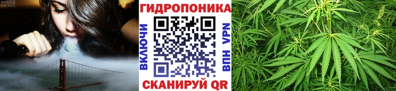 купить  сайты  Белый  Бошки марихуана AK-47 